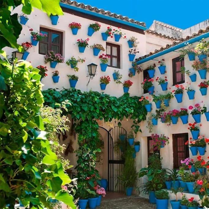 Cordvba Osario Centro Apartment Córdoba Exterior foto
