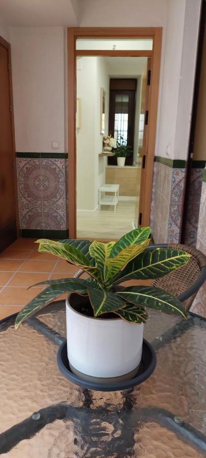 Cordvba Osario Centro Apartment Córdoba Exterior foto